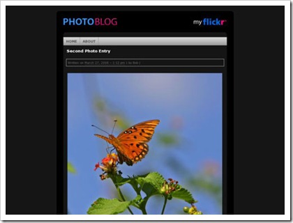 bob_photo_blog