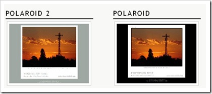 polaried