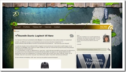 blog 12