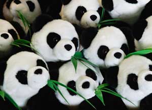 google panda google panda