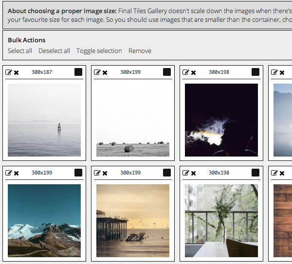 , Come Creare una Galleria Fotografica in WordPress?
