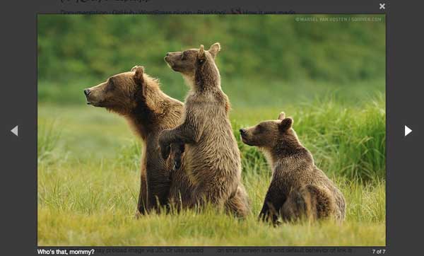 un esempio di lightbox